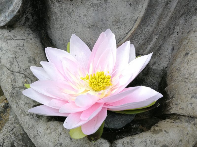 Urlaub im Karuna Yoga Raum Urlaub im Karuna Yoga Raum
