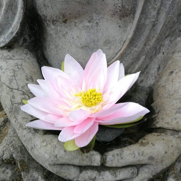 Yoga und der Beckenboden Yoga und der Beckenboden