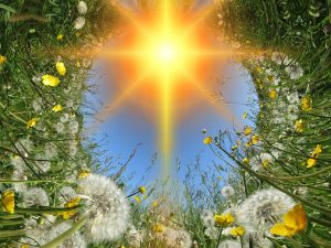 Reiki II Seminar