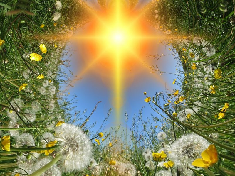 Reiki 2 Seminar Reiki 2 Seminar