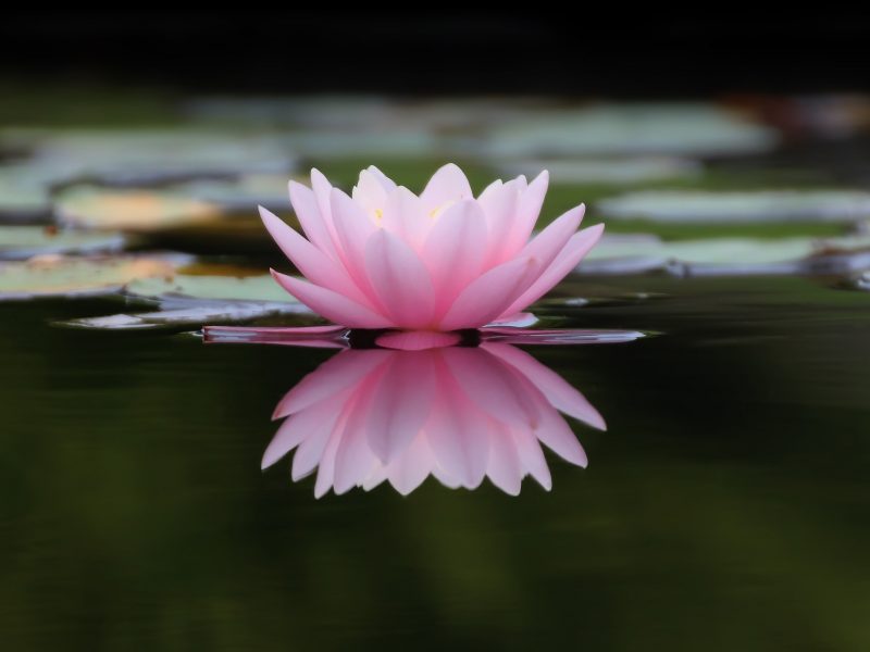 Reiki III Seminar Reiki III Seminar