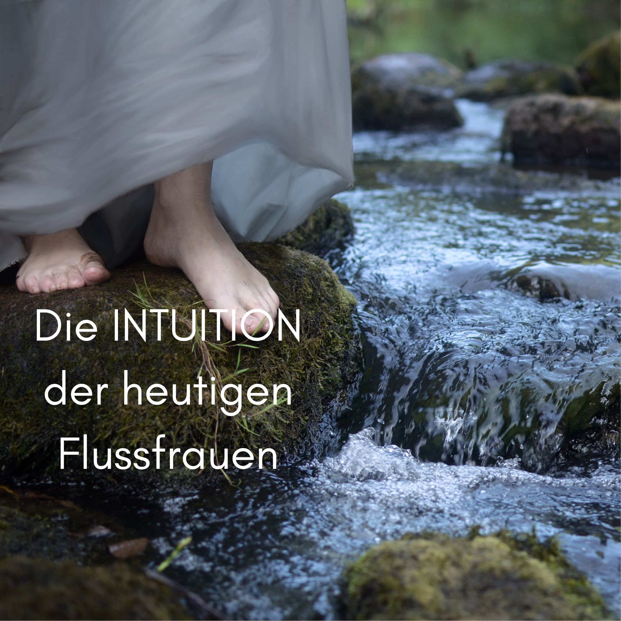 Supersvision, Beratung, Coaching, Intuition