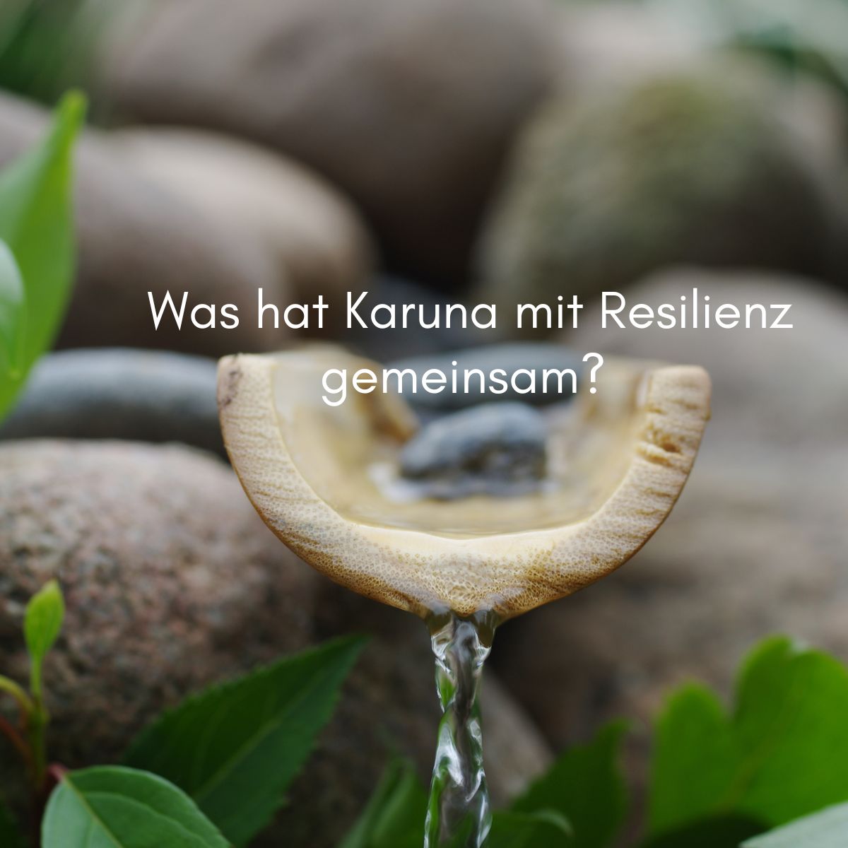 Was hat Karuna mit Resilienz zu tun?