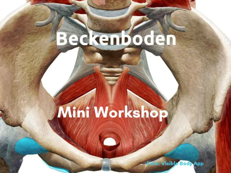 Termine Mini Workshop: Beckenboden