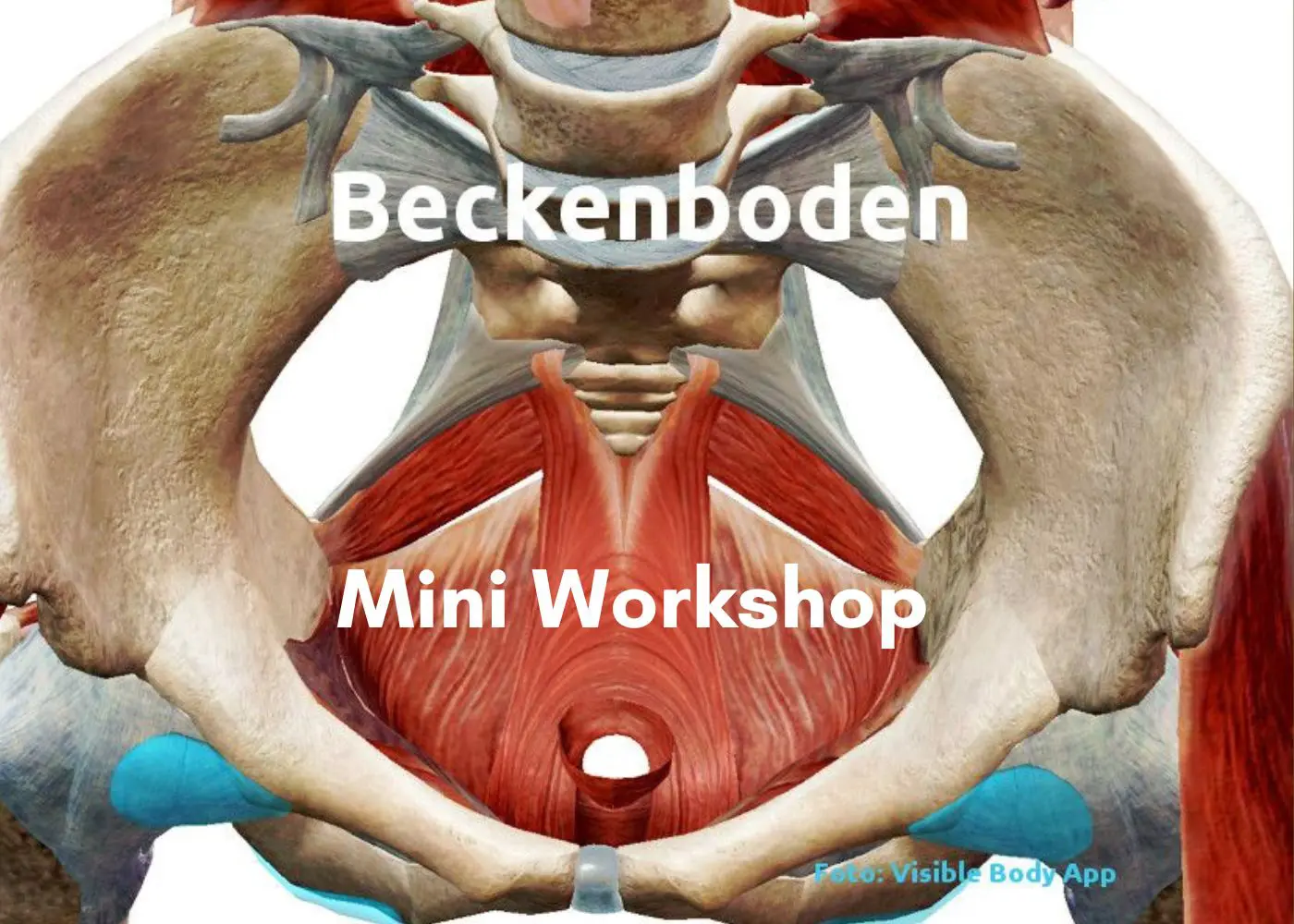 Termine Mini Workshop: Beckenboden