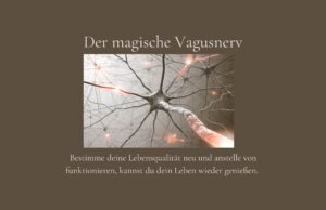 Klangschalen, Kristall schalen, sound healing, meditation, entspannung, Yoga nervensystem regulieren, selbstheilung musikalische Lesung musikalische begleitung Resilienz Training, Wofür brennst du, Wirbelsäulentherapie nach breuss