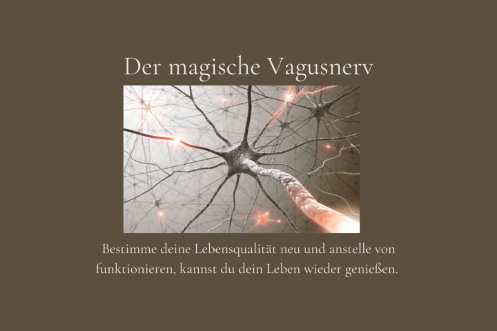 Klangschalen, Kristall schalen, sound healing, meditation, entspannung, Yoga nervensystem regulieren, selbstheilung musikalische Lesung musikalische begleitung Resilienz Training, Wofür brennst du, Wirbelsäulentherapie nach breuss