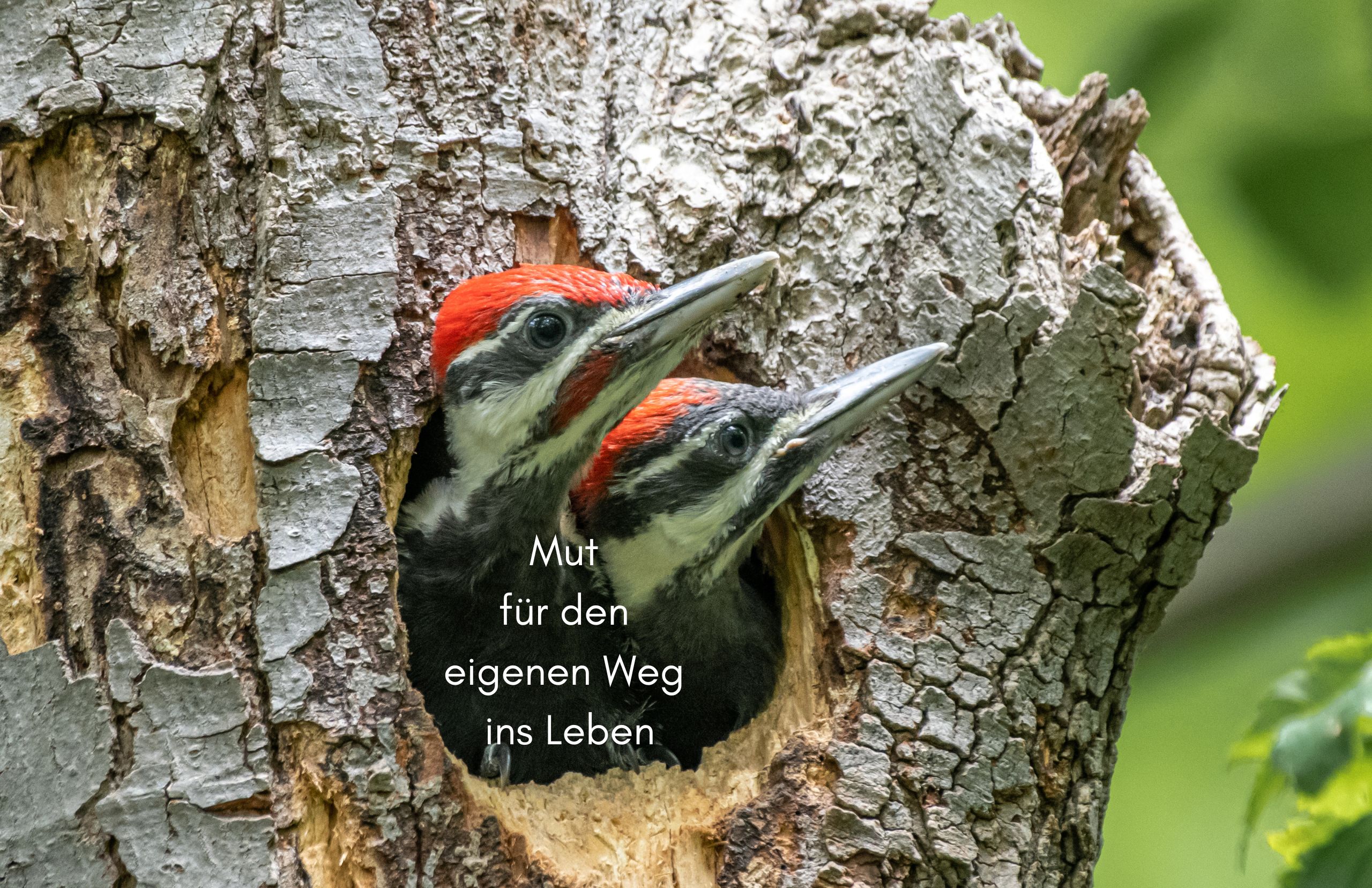 Mut für den eigenen Weg in das Leben