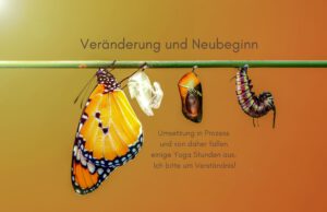 Klangschalen, Kristall schalen, sound healing, meditation, entspannung, Yoga nervensystem regulieren, selbstheilung musikalische Lesung musikalische begleitung Resilienz Training, Wofür brennst du, Wirbelsäulentherapie nach breuss, massage , Antar Mourna, magische Vagusnerv, regulierte Nervensystem
