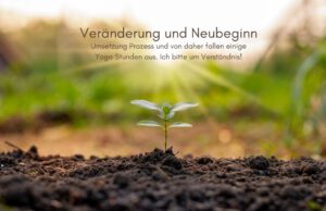 Klangschalen, Kristall schalen, sound healing, meditation, entspannung, Yoga nervensystem regulieren, selbstheilung musikalische Lesung musikalische begleitung Resilienz Training, Wofür brennst du, Wirbelsäulentherapie nach breuss, massage , Antar Mourna, magische Vagusnerv, regulierte Nervensystem