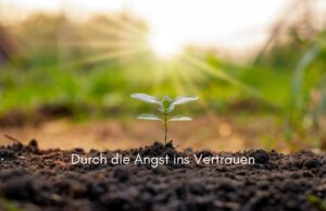 Klangschalen, Kristall schalen, sound healing, meditation, entspannung, Yoga nervensystem regulieren, selbstheilung musikalische Lesung musikalische begleitung Resilienz Training, Wofür brennst du, Wirbelsäulentherapie nach breuss, massage , Antar Mourna, magische Vagusnerv, regulierte Nervensystem