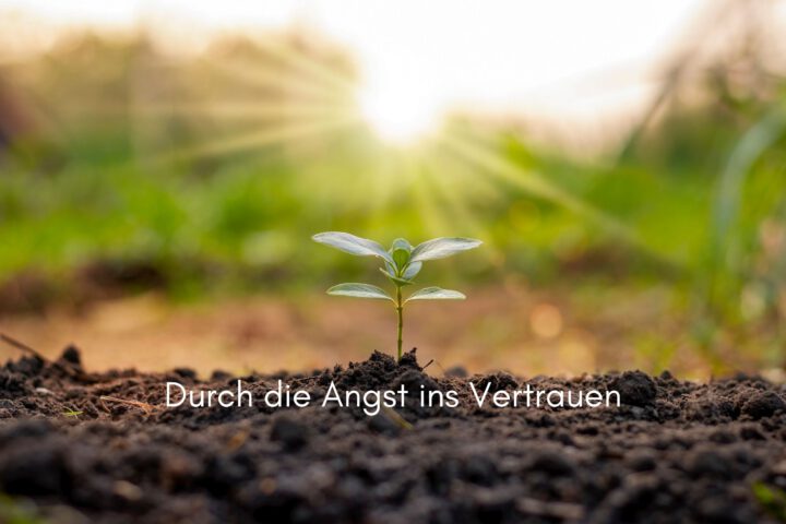 Klangschalen, Kristall schalen, sound healing, meditation, entspannung, Yoga nervensystem regulieren, selbstheilung musikalische Lesung musikalische begleitung Resilienz Training, Wofür brennst du, Wirbelsäulentherapie nach breuss, massage , Antar Mourna, magische Vagusnerv, regulierte Nervensystem