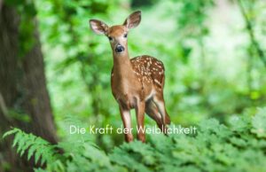 Klangschalen, Kristall schalen, sound healing, meditation, entspannung, Yoga nervensystem regulieren, selbstheilung musikalische Lesung musikalische begleitung Resilienz Training, Wofür brennst du, Wirbelsäulentherapie nach breuss, massage , Antar Mourna, magische Vagusnerv, regulierte Nervensystem