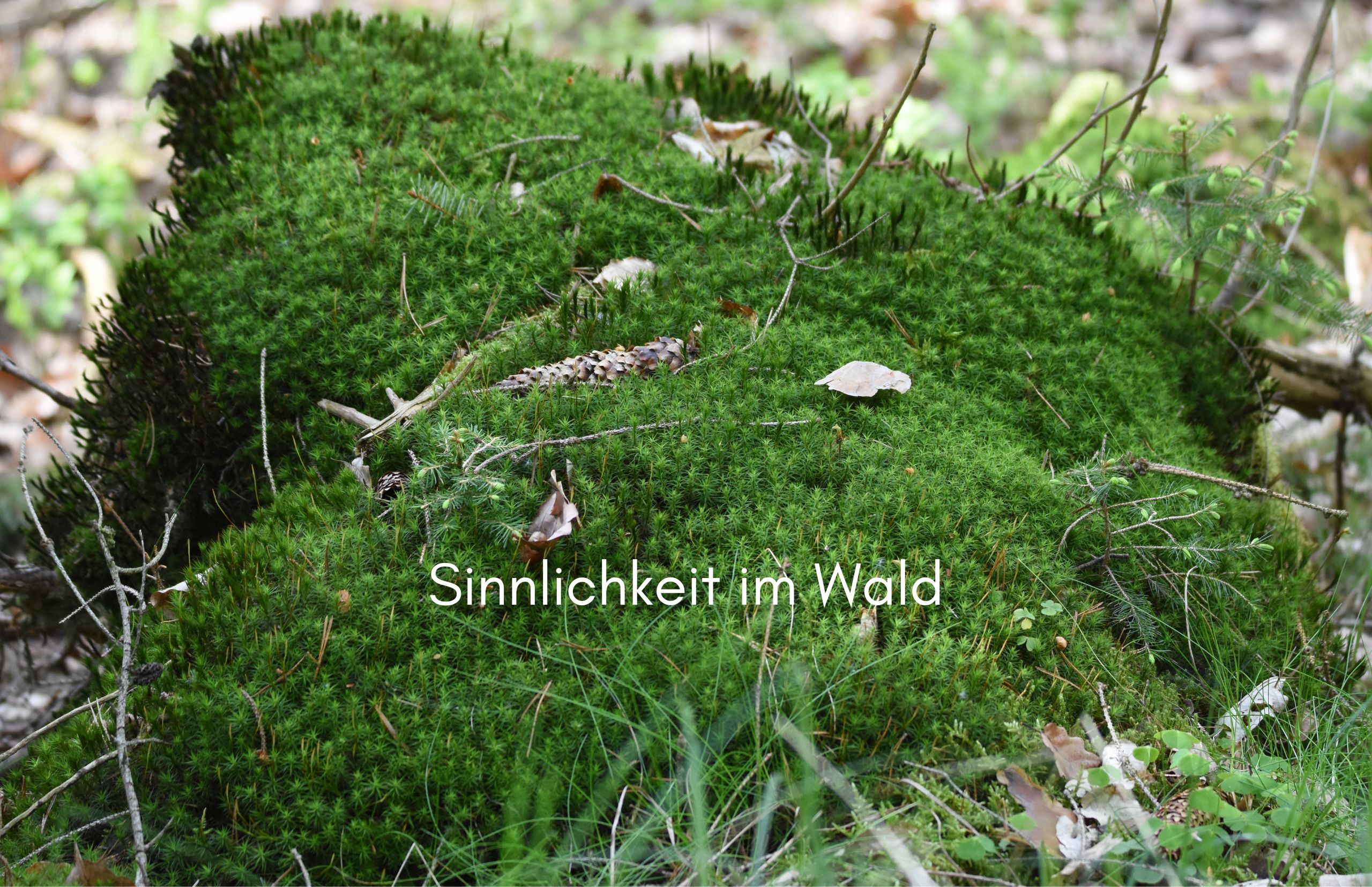 Sinnlichkeit – Die Sprache der Natur und des Herzens