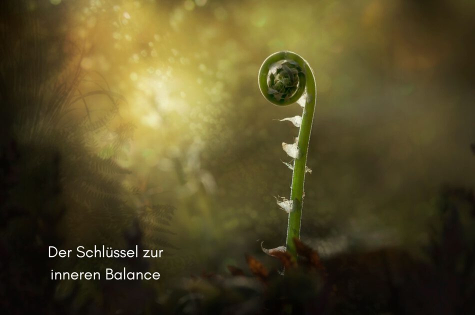 Klangschalen, Kristall schalen, sound healing, meditation, entspannung, Yoga nervensystem regulieren, selbstheilung musikalische Lesung musikalische begleitung Resilienz Training, Wofür brennst du, Wirbelsäulentherapie nach breuss, massage , Antar Mourna, magische Vagusnerv, regulierte Nervensystem