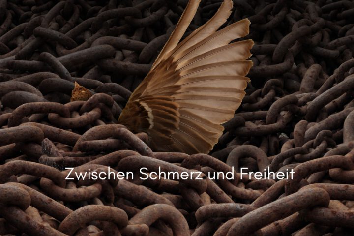 Klangschalen, Kristall schalen, sound healing, meditation, entspannung, Yoga nervensystem regulieren, selbstheilung musikalische Lesung musikalische begleitung Resilienz Training, Wofür brennst du, Wirbelsäulentherapie nach breuss, massage , Antar Mourna, magische Vagusnerv, regulierte Nervensystem