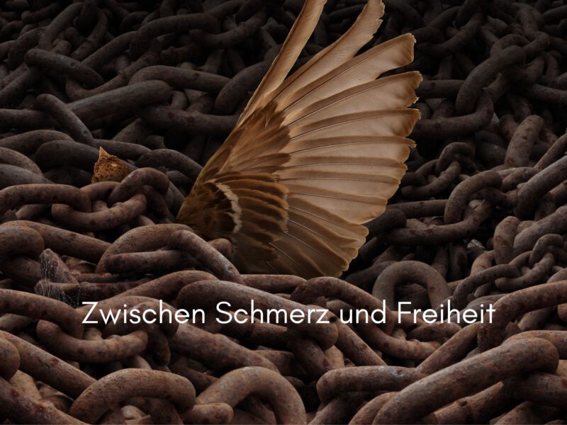 Tag 12 Sonnengrußreise zu mir Selbst: Zwischen Schmerz und Freiheit