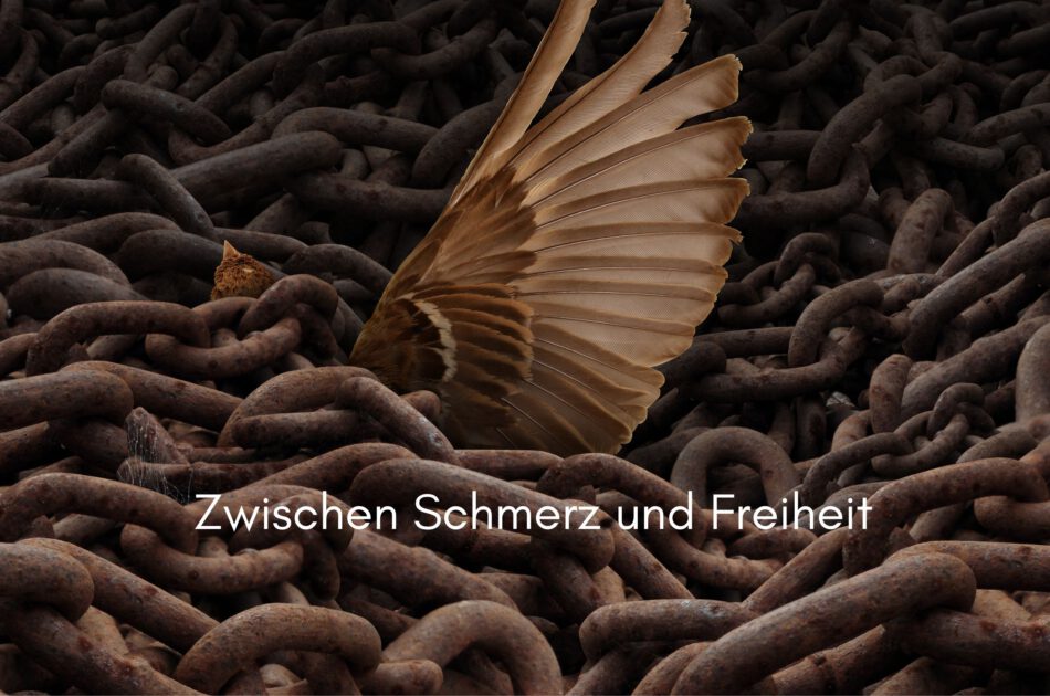 Klangschalen, Kristall schalen, sound healing, meditation, entspannung, Yoga nervensystem regulieren, selbstheilung musikalische Lesung musikalische begleitung Resilienz Training, Wofür brennst du, Wirbelsäulentherapie nach breuss, massage , Antar Mourna, magische Vagusnerv, regulierte Nervensystem
