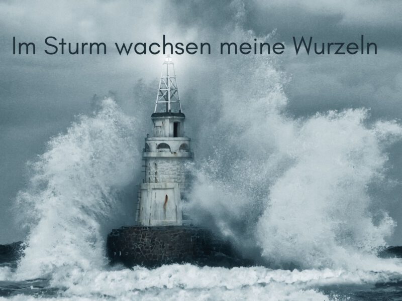 Tag 11 Sonnengrußreise zu mir Selbst: Im Sturm wachsen meine Wurzeln