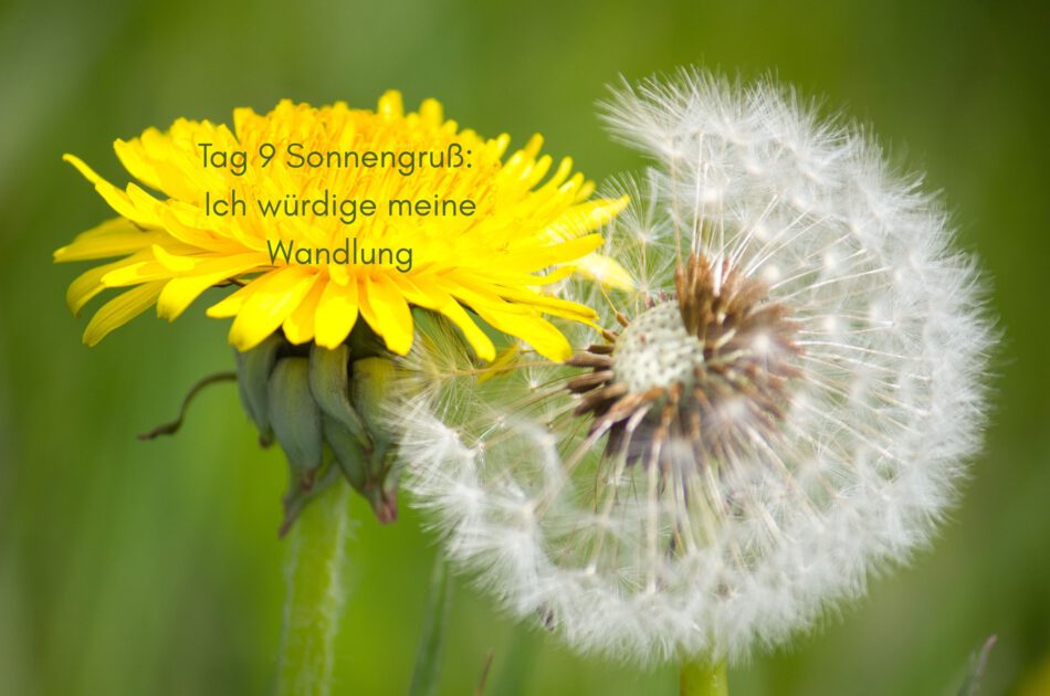 Klangschalen, Kristall schalen, sound healing, meditation, entspannung, Yoga nervensystem regulieren, selbstheilung musikalische Lesung musikalische begleitung Resilienz Training, Wofür brennst du, Wirbelsäulentherapie nach breuss, massage , Antar Mourna, magische Vagusnerv, regulierte Nervensystem