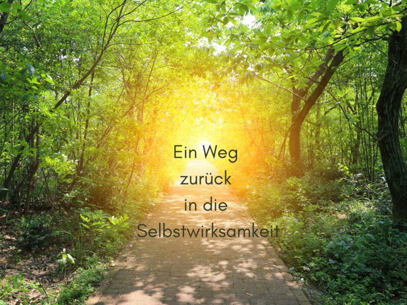 Tag 2 Sonnengrußreise zu mir Selbst: Yoga als Weg zurück in die Selbstwirksamkeit