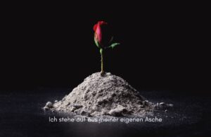 Klangschalen, Kristall schalen, sound healing, meditation, entspannung, Yoga nervensystem regulieren, selbstheilung musikalische Lesung musikalische begleitung Resilienz Training, Wofür brennst du, Wirbelsäulentherapie nach breuss, massage , Antar Mourna, magische Vagusnerv, regulierte Nervensystem