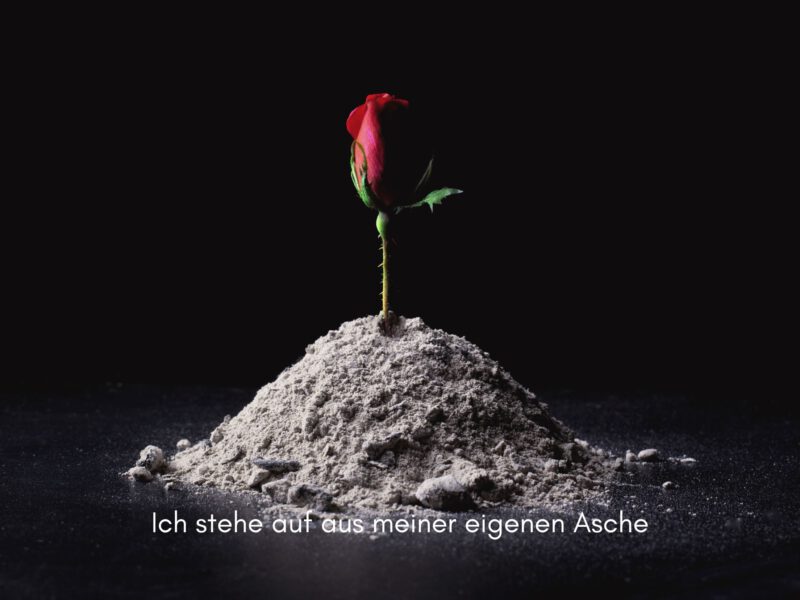 Tag 17 Sonnengrußreise zu mir Selbst: Ich stehe auf aus meiner eigenen Asche