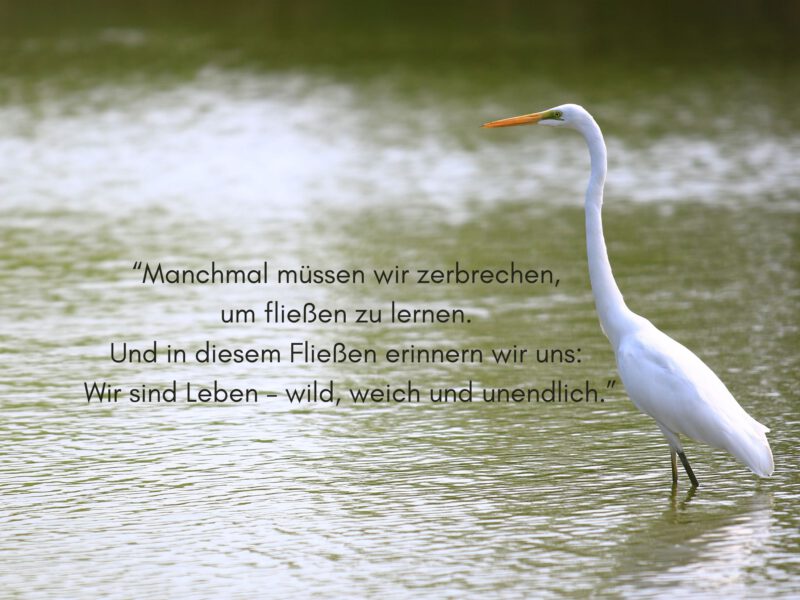 Tag 18 Sonnengrußreise zu mir Selbst: Innehalten. Lauschen. Reflektieren.