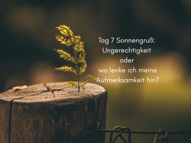 Tag 7 Sonnengrußreise zu mir Selbst: Ungerechtigkeit oder wo lenke ich meine Aufmerksamkeit hin?
