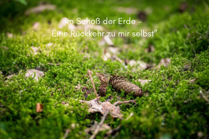 Klangschalen, Kristall schalen, sound healing, meditation, entspannung, Yoga nervensystem regulieren, selbstheilung musikalische Lesung musikalische begleitung Resilienz Training, Wofür brennst du, Wirbelsäulentherapie nach breuss, massage , Antar Mourna, magische Vagusnerv, regulierte Nervensystem