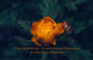 Klangschalen, Kristall schalen, sound healing, meditation, entspannung, Yoga nervensystem regulieren, selbstheilung musikalische Lesung musikalische begleitung Resilienz Training, Wofür brennst du, Wirbelsäulentherapie nach breuss, massage , Antar Mourna, magische Vagusnerv, regulierte Nervensystem