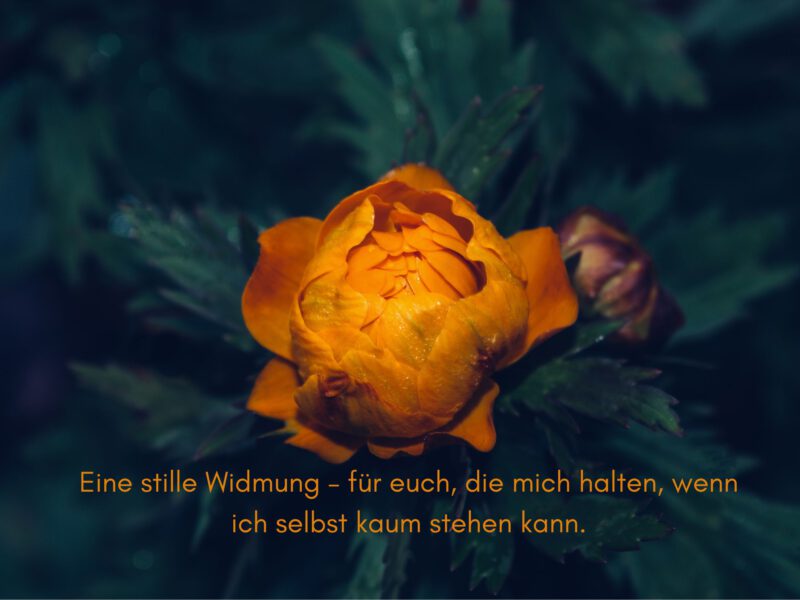 Tag 16 Sonnengrußreise zu mir Selbst: Eine stille Widmung – für euch, die mich halten, wenn ich selbst kaum stehen kann.