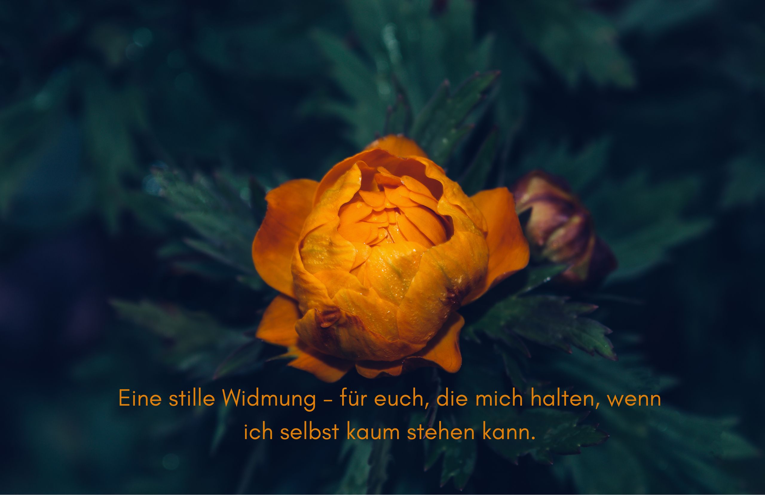Tag 16 Sonnengruß: Eine stille Widmung – für euch, die mich halten, wenn ich selbst kaum stehen kann.