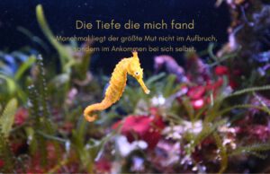 Klangschalen, Kristall schalen, sound healing, meditation, entspannung, Yoga nervensystem regulieren, selbstheilung musikalische Lesung musikalische begleitung Resilienz Training, Wofür brennst du, Wirbelsäulentherapie nach breuss, massage , Antar Mourna, magische Vagusnerv, regulierte Nervensystem