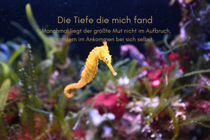 Klangschalen, Kristall schalen, sound healing, meditation, entspannung, Yoga nervensystem regulieren, selbstheilung musikalische Lesung musikalische begleitung Resilienz Training, Wofür brennst du, Wirbelsäulentherapie nach breuss, massage , Antar Mourna, magische Vagusnerv, regulierte Nervensystem