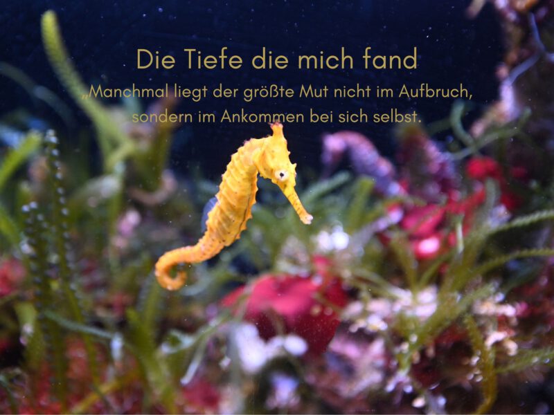 Tag 32 Sonnengrußreise zu mir Selbst: Die Tiefe, die mich fand