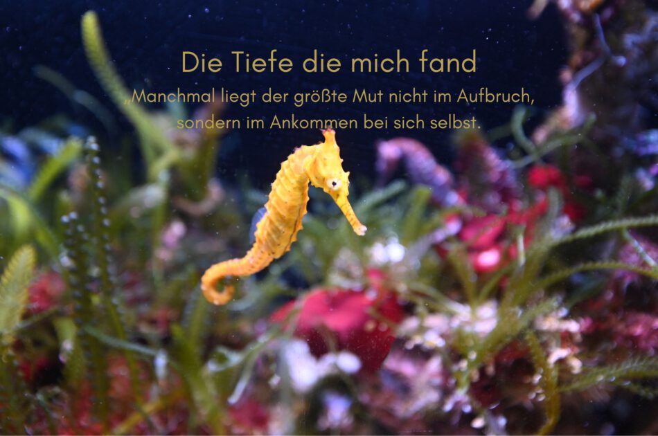 Klangschalen, Kristall schalen, sound healing, meditation, entspannung, Yoga nervensystem regulieren, selbstheilung musikalische Lesung musikalische begleitung Resilienz Training, Wofür brennst du, Wirbelsäulentherapie nach breuss, massage , Antar Mourna, magische Vagusnerv, regulierte Nervensystem
