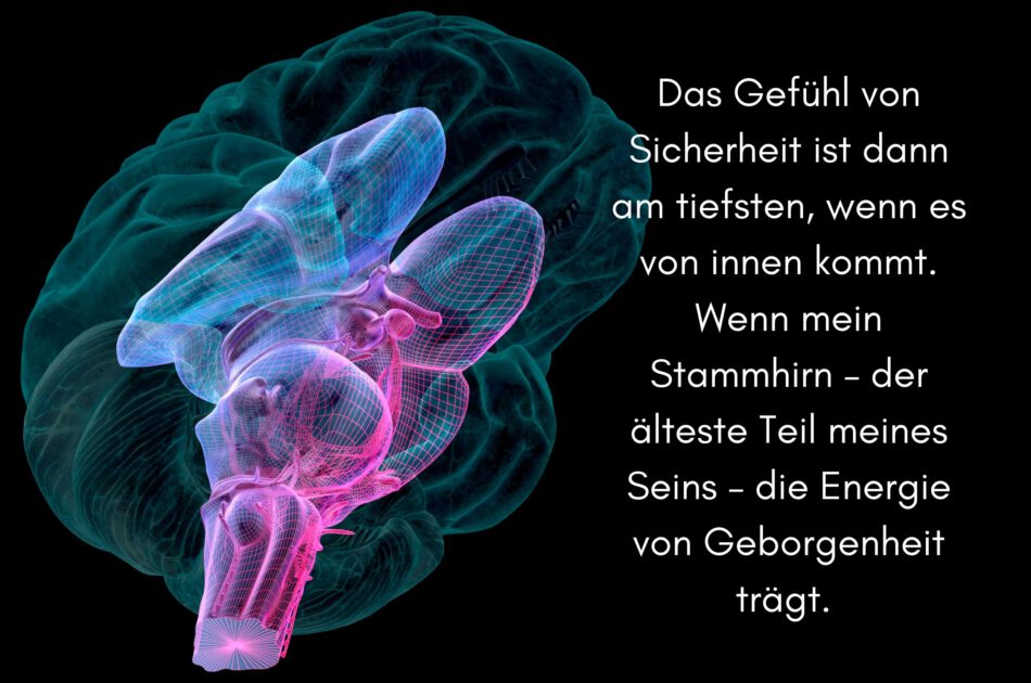 Klangschalen, Kristall schalen, sound healing, meditation, entspannung, Yoga nervensystem regulieren, selbstheilung musikalische Lesung musikalische begleitung Resilienz Training, Wofür brennst du, Wirbelsäulentherapie nach breuss, massage , Antar Mourna, magische Vagusnerv, regulierte Nervensystem