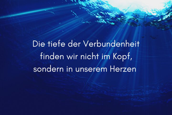 Klangschalen, Kristall schalen, sound healing, meditation, entspannung, Yoga nervensystem regulieren, selbstheilung musikalische Lesung musikalische begleitung Resilienz Training, Wofür brennst du, Wirbelsäulentherapie nach breuss, massage , Antar Mourna, magische Vagusnerv, regulierte Nervensystem
