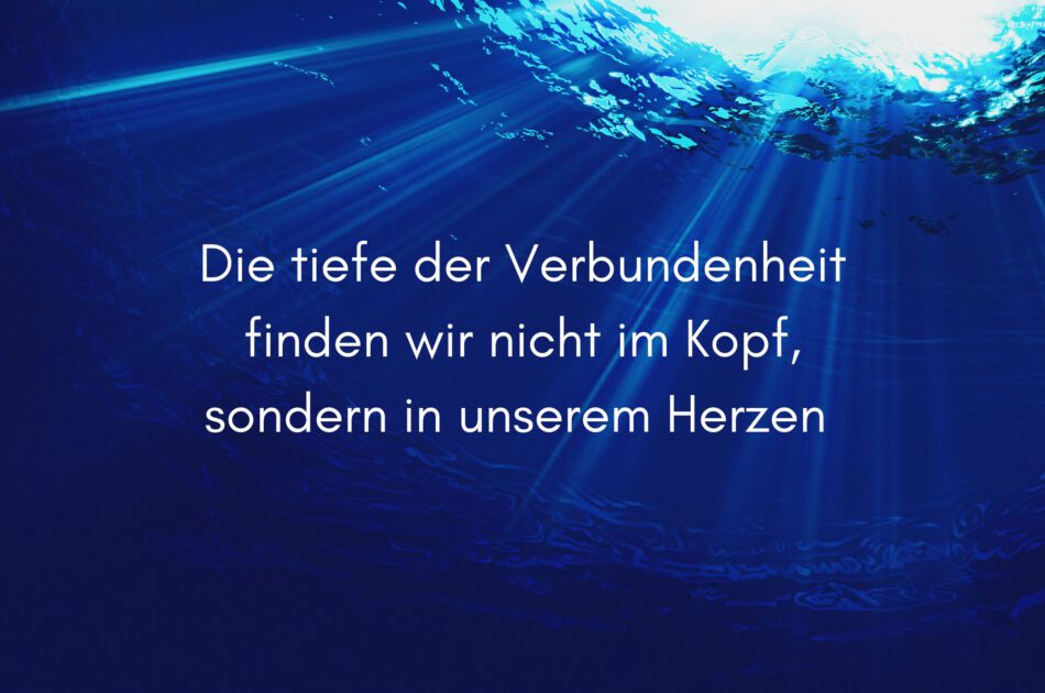 Klangschalen, Kristall schalen, sound healing, meditation, entspannung, Yoga nervensystem regulieren, selbstheilung musikalische Lesung musikalische begleitung Resilienz Training, Wofür brennst du, Wirbelsäulentherapie nach breuss, massage , Antar Mourna, magische Vagusnerv, regulierte Nervensystem