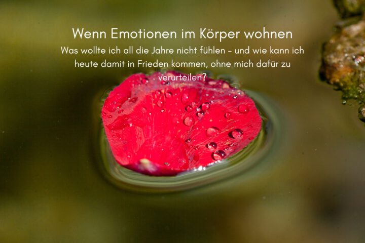 Klangschalen, Kristall schalen, sound healing, meditation, entspannung, Yoga nervensystem regulieren, selbstheilung musikalische Lesung musikalische begleitung Resilienz Training, Wofür brennst du, Wirbelsäulentherapie nach breuss, massage , Antar Mourna, magische Vagusnerv, regulierte Nervensystem
