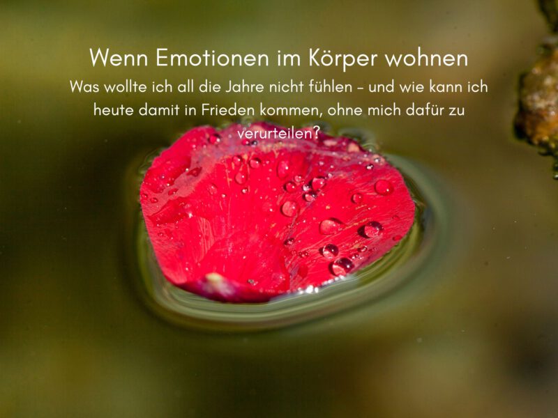 Tag 38 Sonnengrußreise zu mir Selbst: Wenn Emotionen im Körper wohnen