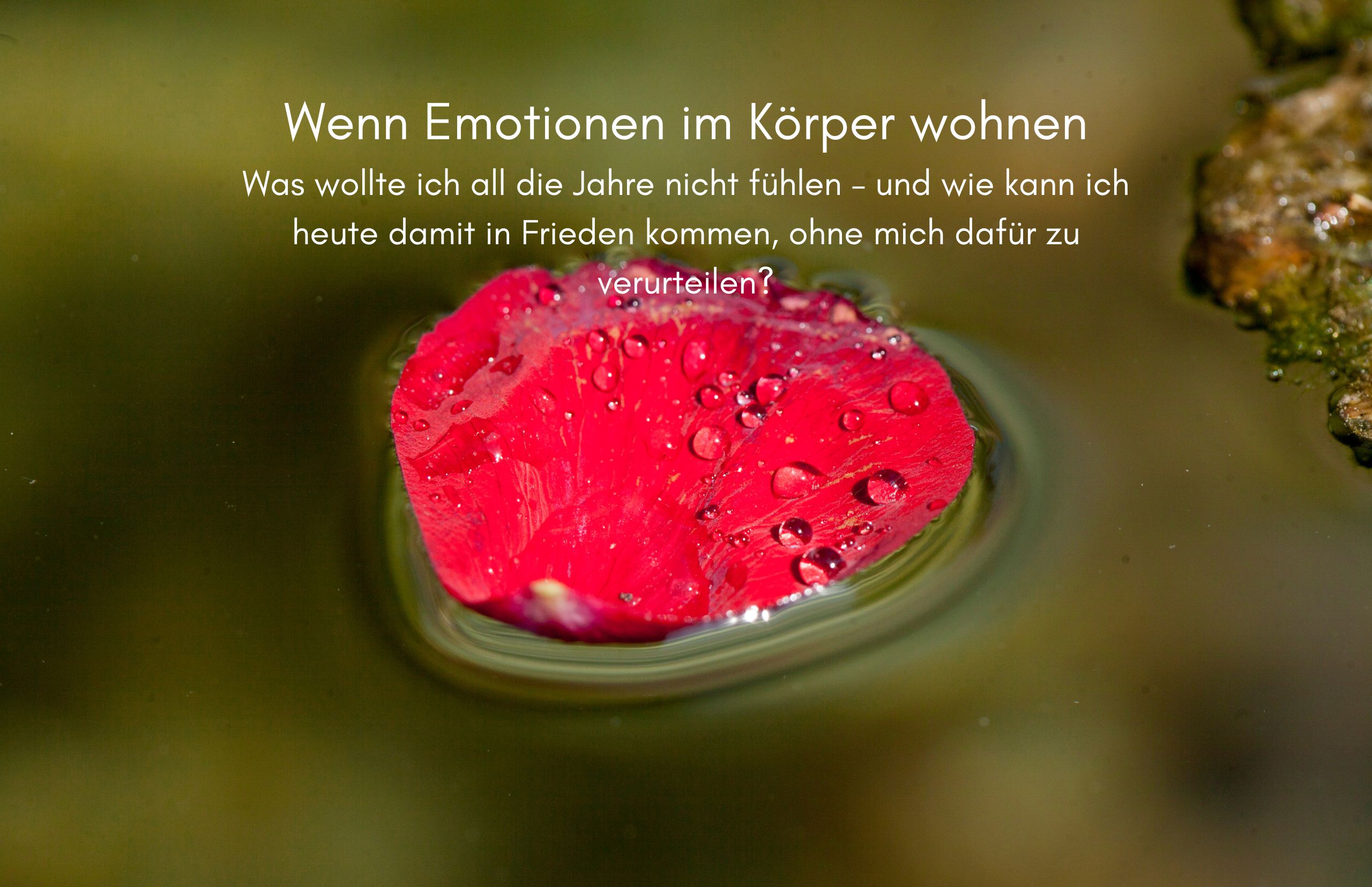 Tag 38 Sonnengrußreise zu mir Selbst: Wenn Emotionen im Körper wohnen