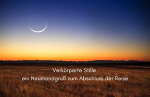 Klangschalen, Kristall schalen, sound healing, meditation, entspannung, Yoga nervensystem regulieren, selbstheilung musikalische Lesung musikalische begleitung Resilienz Training, Wofür brennst du, Wirbelsäulentherapie nach breuss, massage , Antar Mourna, magische Vagusnerv, regulierte Nervensystem