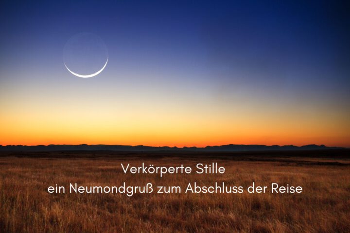 Klangschalen, Kristall schalen, sound healing, meditation, entspannung, Yoga nervensystem regulieren, selbstheilung musikalische Lesung musikalische begleitung Resilienz Training, Wofür brennst du, Wirbelsäulentherapie nach breuss, massage , Antar Mourna, magische Vagusnerv, regulierte Nervensystem