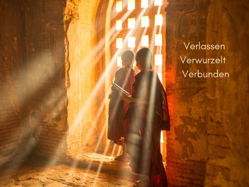 Verlassen – Verwurzelt – Verbunden