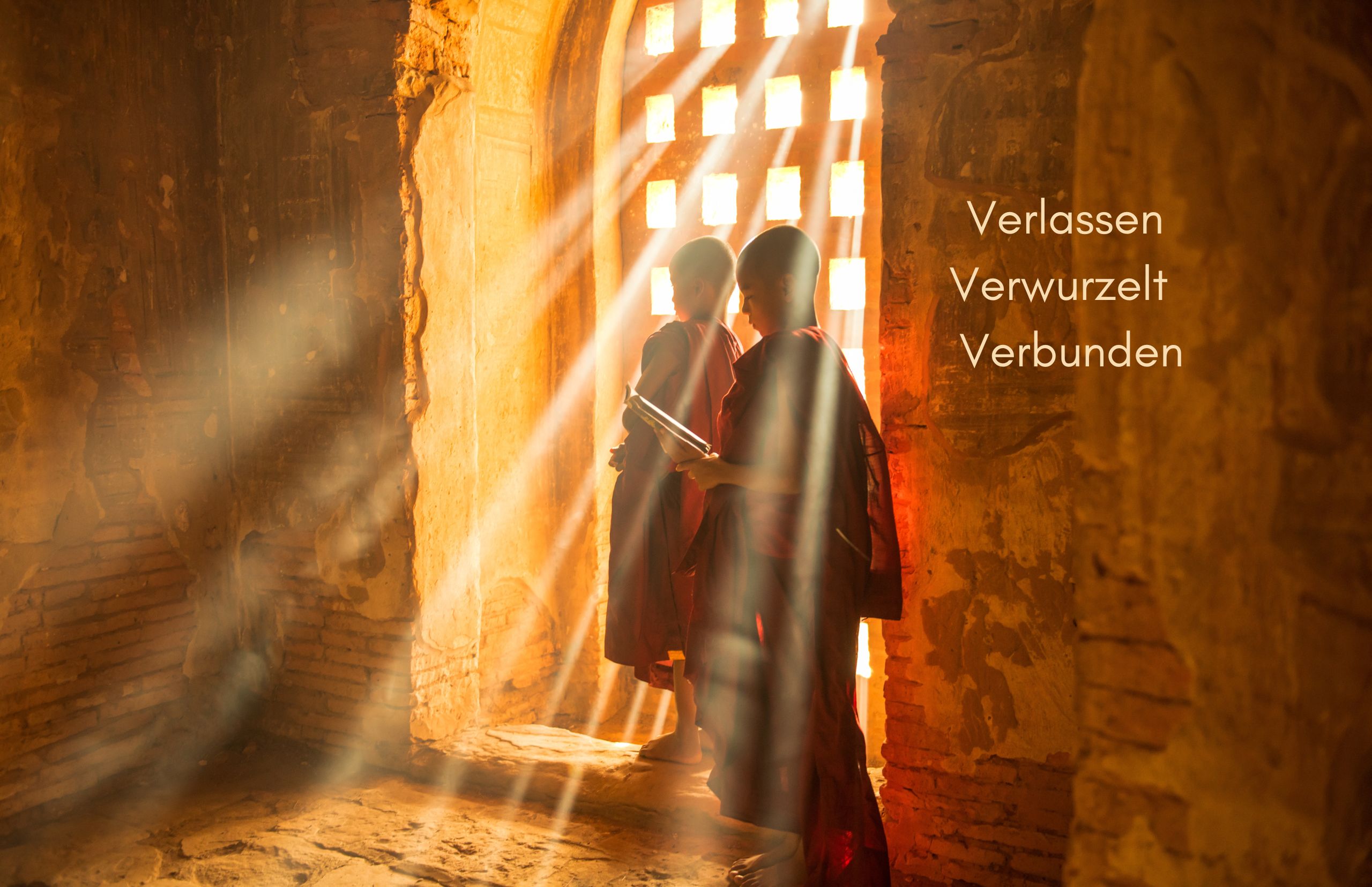 Verlassen – Verwurzelt – Verbunden