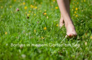 Klangschalen, Kristall schalen, sound healing, meditation, entspannung, Yoga nervensystem regulieren, selbstheilung musikalische Lesung musikalische begleitung Resilienz Training, Wofür brennst du, Wirbelsäulentherapie nach breuss, massage , Antar Mourna, magische Vagusnerv, regulierte Nervensystem