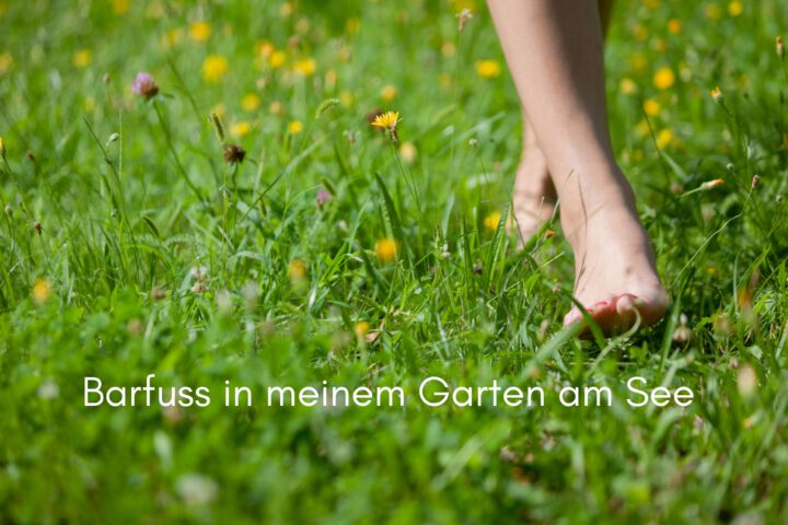 Klangschalen, Kristall schalen, sound healing, meditation, entspannung, Yoga nervensystem regulieren, selbstheilung musikalische Lesung musikalische begleitung Resilienz Training, Wofür brennst du, Wirbelsäulentherapie nach breuss, massage , Antar Mourna, magische Vagusnerv, regulierte Nervensystem
