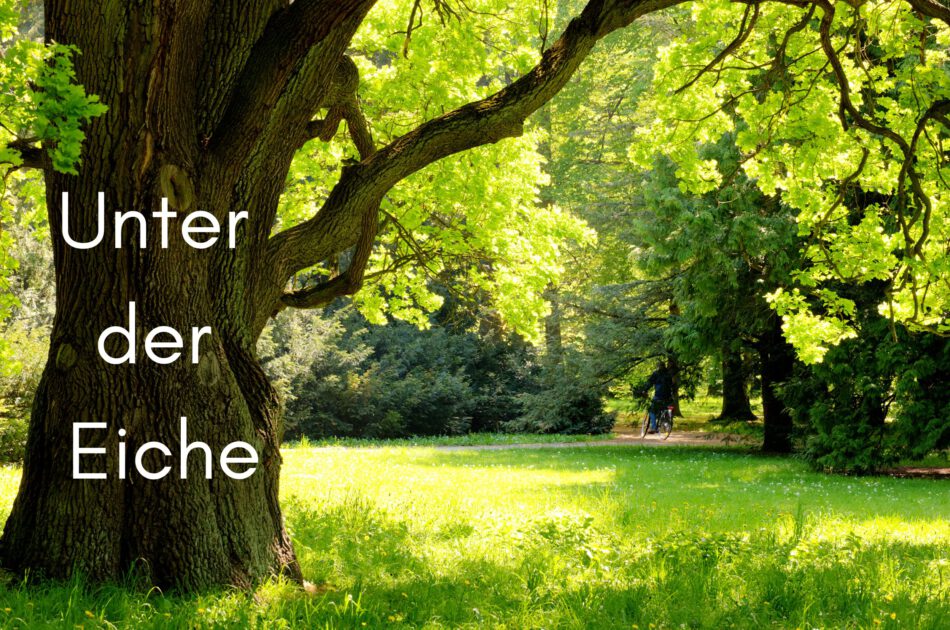 Klangschalen, Kristall schalen, sound healing, meditation, entspannung, Yoga nervensystem regulieren, selbstheilung musikalische Lesung musikalische begleitung Resilienz Training, Wofür brennst du, Wirbelsäulentherapie nach breuss, massage , Antar Mourna, magische Vagusnerv, regulierte Nervensystem